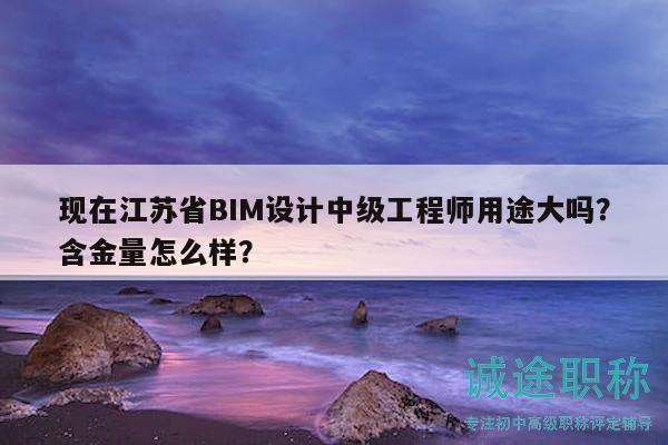 現(xiàn)在江蘇省BIM設(shè)計(jì)中級(jí)工程師用途大嗎？含金量怎么樣？