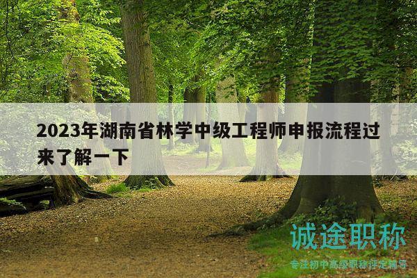 2023年湖南省林學中級工程師申報流程過來了解一下