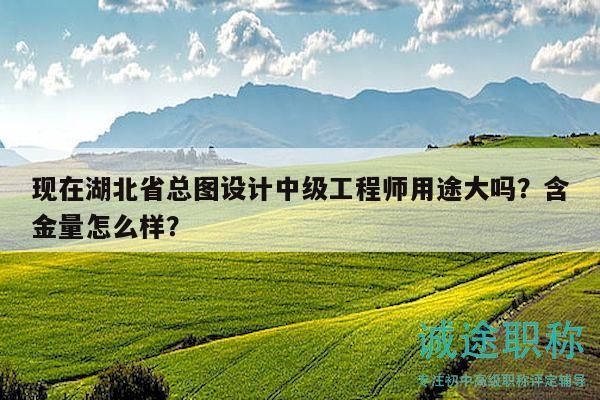 現(xiàn)在湖北省總圖設(shè)計中級工程師用途大嗎？含金量怎么樣？