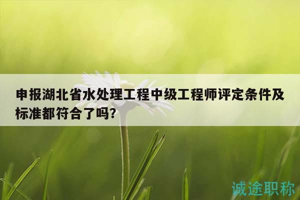 申報(bào)湖北省水處理工程中級工程師評定條件及標(biāo)準(zhǔn)都符合了嗎？