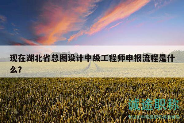 現(xiàn)在湖北省總圖設(shè)計中級工程師申報流程是什么？