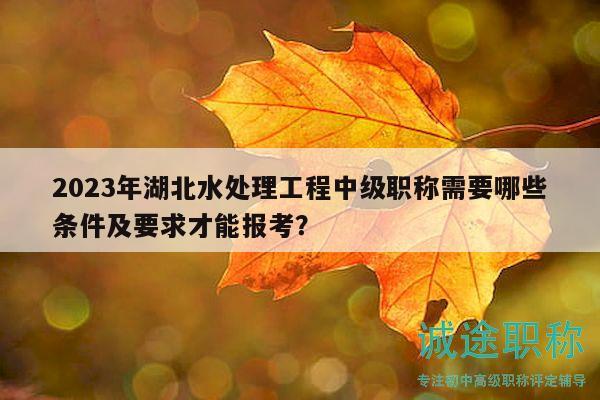 2023年湖北水處理工程中級職稱需要哪些條件及要求才能報考？