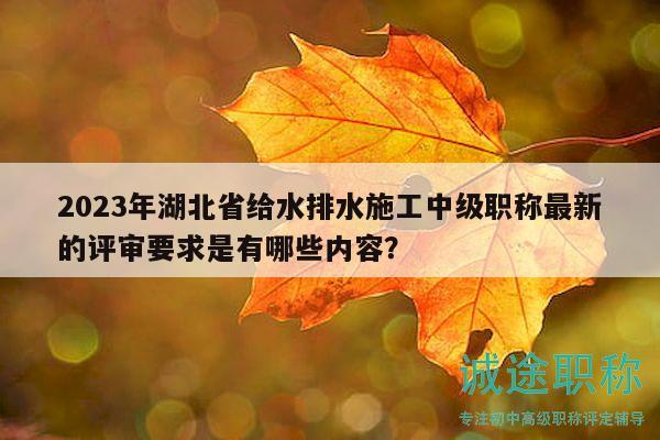 2023年湖北省給水排水施工中級職稱最新的評審要求是有哪些內容？