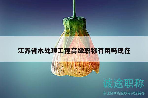 江蘇省水處理工程高級(jí)職稱(chēng)有用嗎現(xiàn)在