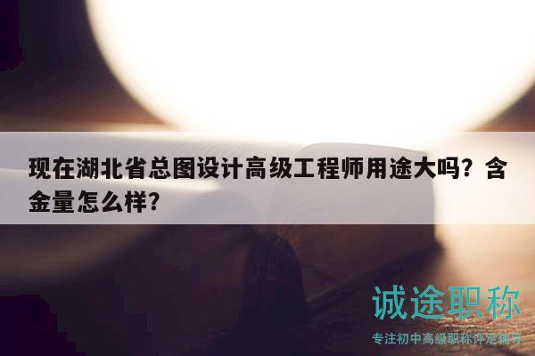 現(xiàn)在湖北省總圖設(shè)計(jì)高級(jí)工程師用途大嗎？含金量怎么樣？