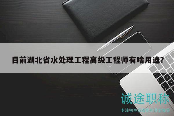 目前湖北省水處理工程高級工程師有啥用途？