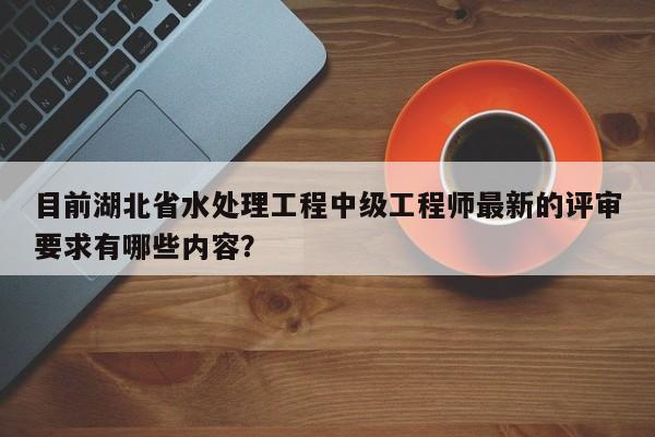 目前湖北省水處理工程中級工程師最新的評審要求有哪些內(nèi)容？