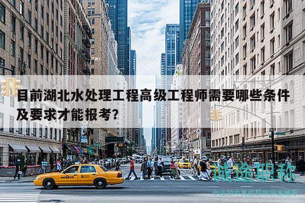 目前湖北水處理工程高級(jí)工程師需要哪些條件及要求才能報(bào)考？