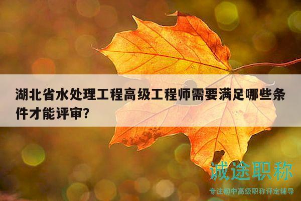 湖北省水處理工程高級(jí)工程師需要滿足哪些條件才能評(píng)審？