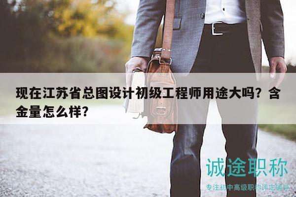 現(xiàn)在江蘇省總圖設計初級工程師用途大嗎？含金量怎么樣？