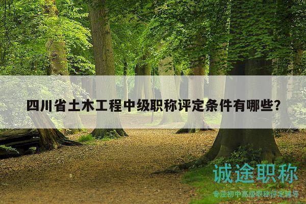 四川省土木工程中級(jí)職稱評(píng)定條件有哪些？