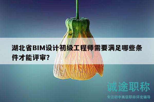 湖北省BIM設(shè)計(jì)初級(jí)工程師需要滿足哪些條件才能評(píng)審？