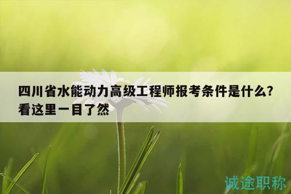 四川省水能動力高級工程師報考條件是什么？看這里一目了然