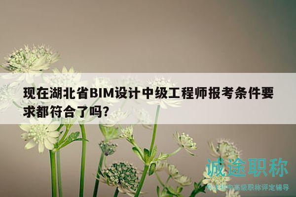 現(xiàn)在湖北省BIM設(shè)計(jì)中級(jí)工程師報(bào)考條件要求都符合了嗎？