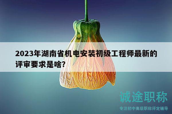 2023年湖南省機電安裝初級工程師最新的評審要求是啥？