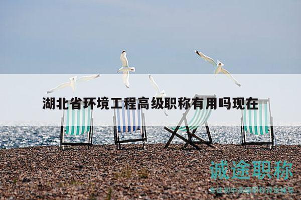 湖北省環(huán)境工程高級職稱有用嗎現(xiàn)在