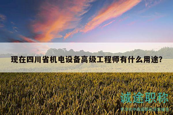 現(xiàn)在四川省機電設(shè)備高級工程師有什么用途？