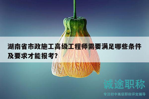 湖南省市政施工高級(jí)工程師需要滿足哪些條件及要求才能報(bào)考？