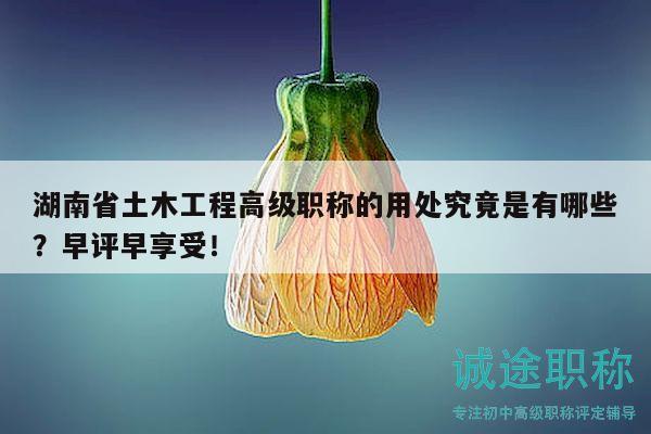 湖南省土木工程高級職稱的用處究竟是有哪些？早評早享受！