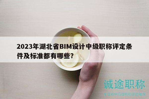 2023年湖北省BIM設(shè)計(jì)中級(jí)職稱評(píng)定條件及標(biāo)準(zhǔn)都有哪些？