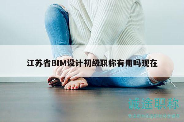 江蘇省BIM設(shè)計初級職稱有用嗎現(xiàn)在