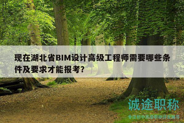 現(xiàn)在湖北省BIM設(shè)計(jì)高級工程師需要哪些條件及要求才能報(bào)考？