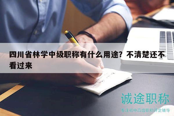 四川省林學(xué)中級職稱有什么用途？不清楚還不看過來