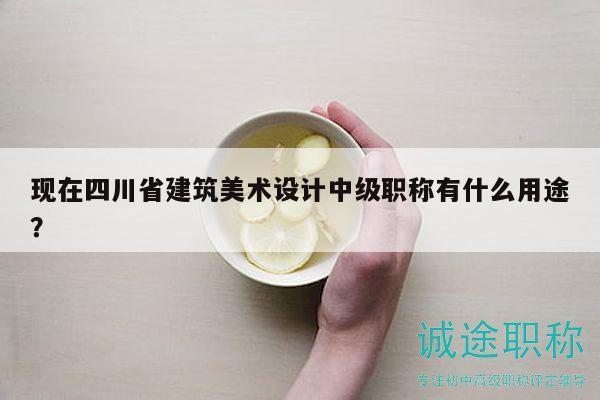 現(xiàn)在四川省建筑美術(shù)設(shè)計(jì)中級職稱有什么用途？