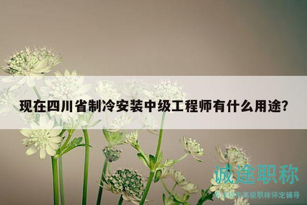 現(xiàn)在四川省制冷安裝中級(jí)工程師有什么用途？