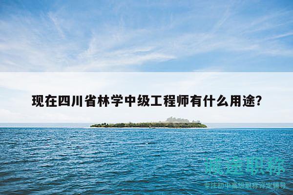 現(xiàn)在四川省林學中級工程師有什么用途？