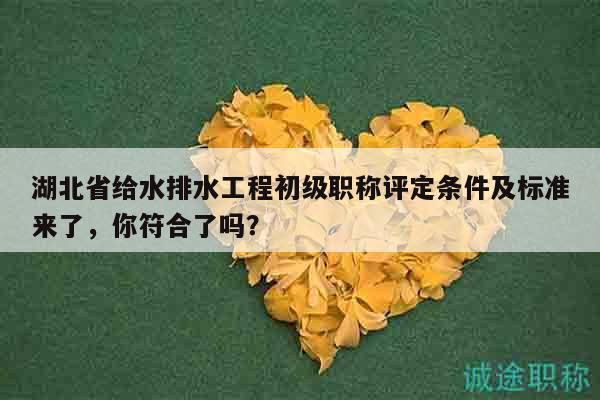 湖北省給水排水工程初級職稱評定條件及標準來了，你符合了嗎？