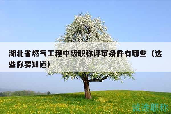 湖北省燃?xì)夤こ讨屑壜毞Q評審條件有哪些（這些你要知道）