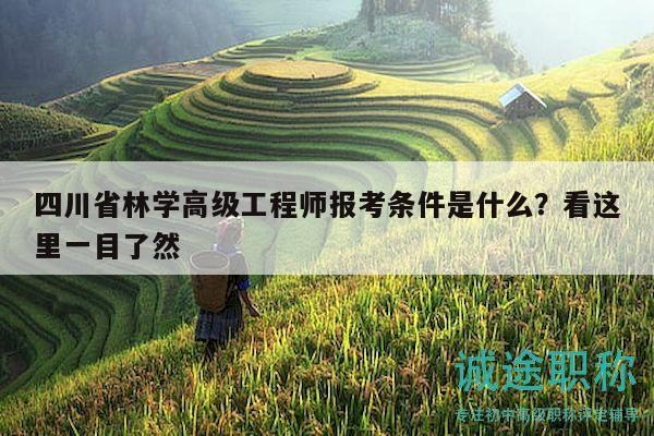 四川省林學(xué)高級(jí)工程師報(bào)考條件是什么？看這里一目了然