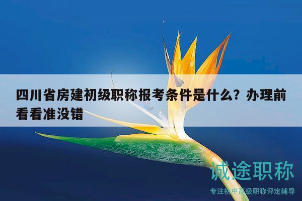 四川省房建初級職稱報考條件是什么？辦理前看看準沒錯