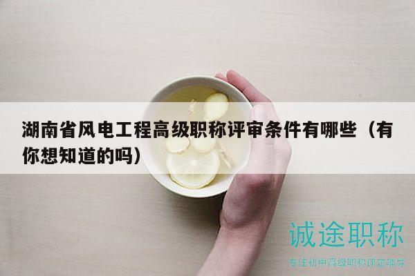 湖南省風(fēng)電工程高級職稱評審條件有哪些（有你想知道的嗎）