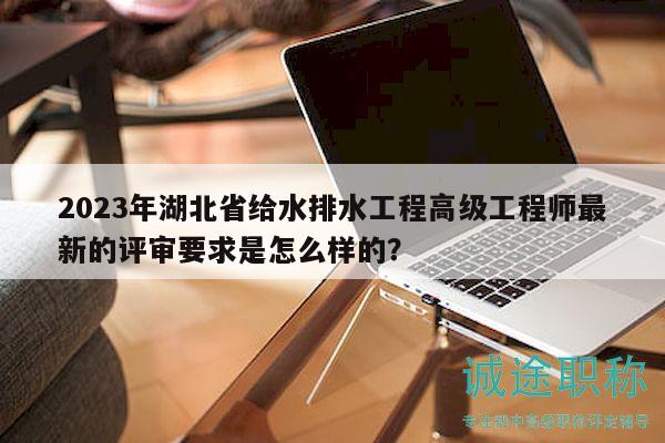 2023年湖北省給水排水工程高級工程師最新的評審要求是怎么樣的？