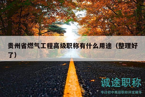 貴州省燃?xì)夤こ谈呒壜毞Q有什么用途（整理好了）