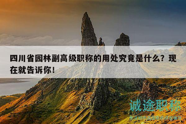 四川省園林副高級職稱的用處究竟是什么？現(xiàn)在就告訴你！
