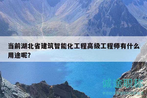當(dāng)前湖北省建筑智能化工程高級工程師有什么用途呢？