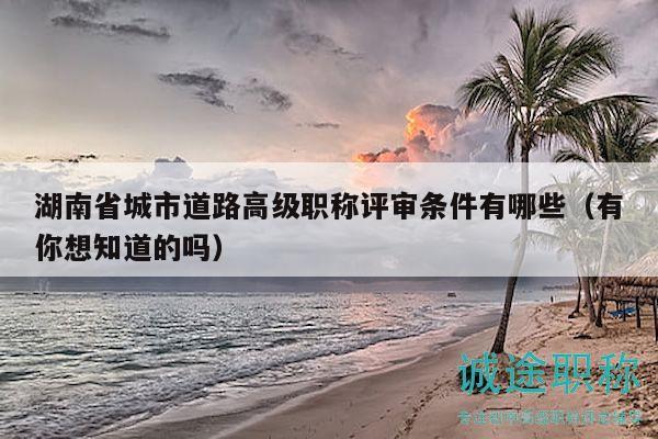 湖南省城市道路高級(jí)職稱(chēng)評(píng)審條件有哪些（有你想知道的嗎）