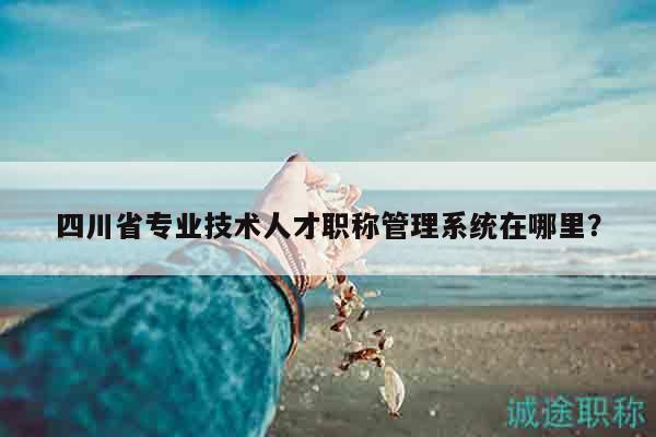 四川省專業(yè)技術人才職稱管理系統(tǒng)在哪里？