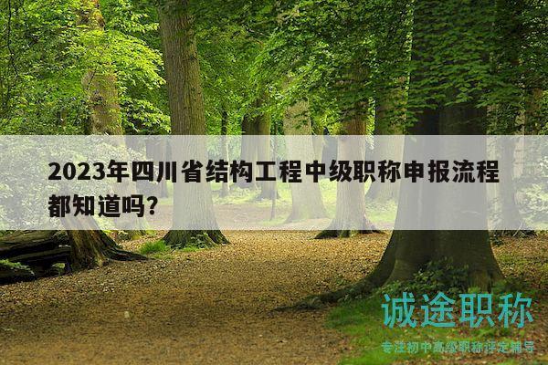2023年四川省結(jié)構(gòu)工程中級職稱申報(bào)流程都知道嗎？