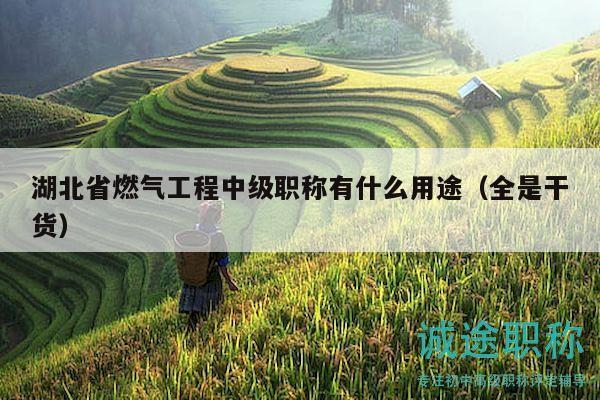 湖北省燃?xì)夤こ讨屑?jí)職稱有什么用途（全是干貨）