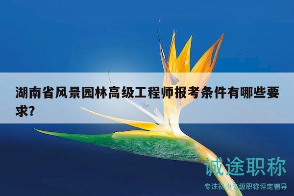 湖南省風(fēng)景園林高級工程師報考條件有哪些要求？