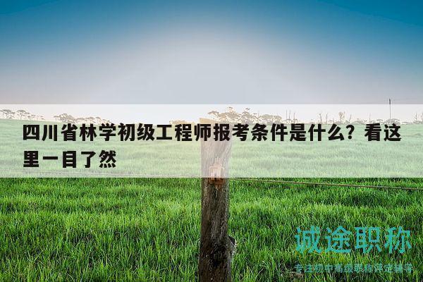 四川省林學初級工程師報考條件是什么？看這里一目了然