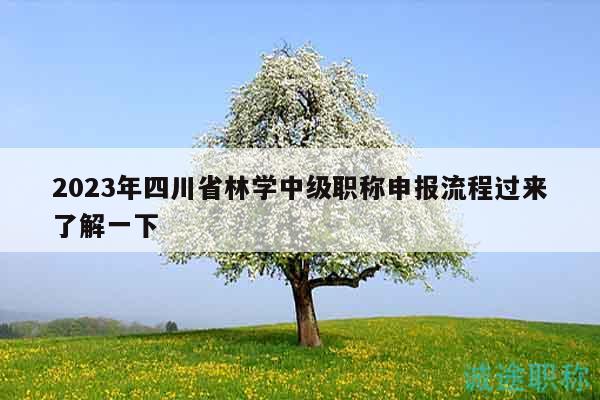2023年四川省林學中級職稱申報流程過來了解一下