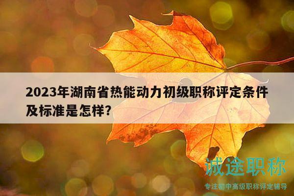 2023年湖南省熱能動(dòng)力初級(jí)職稱評(píng)定條件及標(biāo)準(zhǔn)是怎樣？