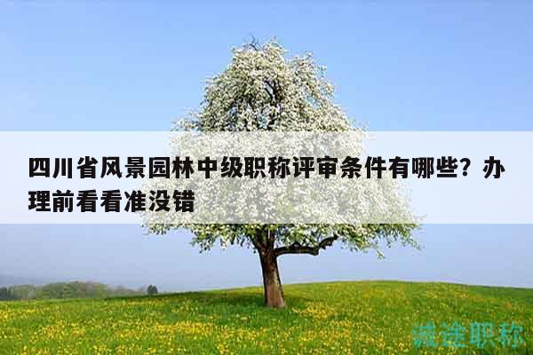 四川省風(fēng)景園林中級(jí)職稱評(píng)審條件有哪些？辦理前看看準(zhǔn)沒錯(cuò)