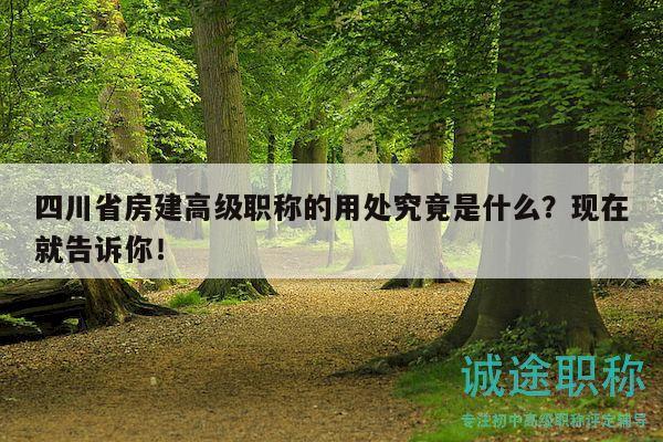四川省房建高級(jí)職稱(chēng)的用處究竟是什么？現(xiàn)在就告訴你！