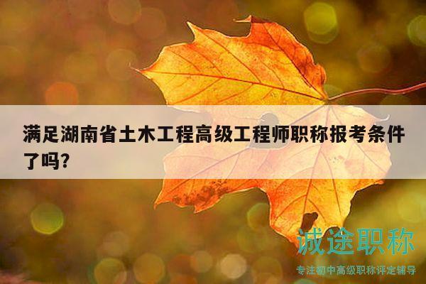 滿足湖南省土木工程高級工程師職稱報考條件了嗎？